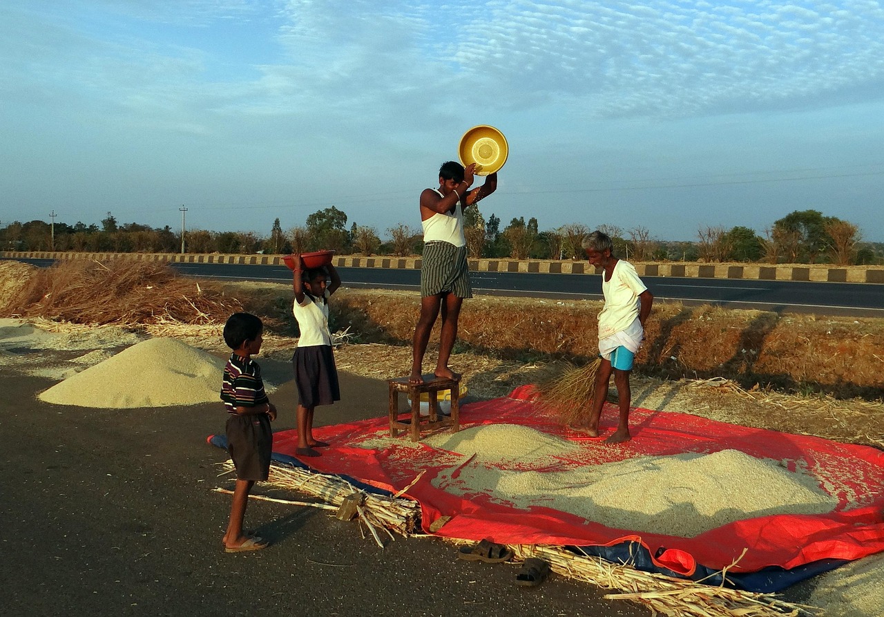 India harvest festival scene during the monsoon season